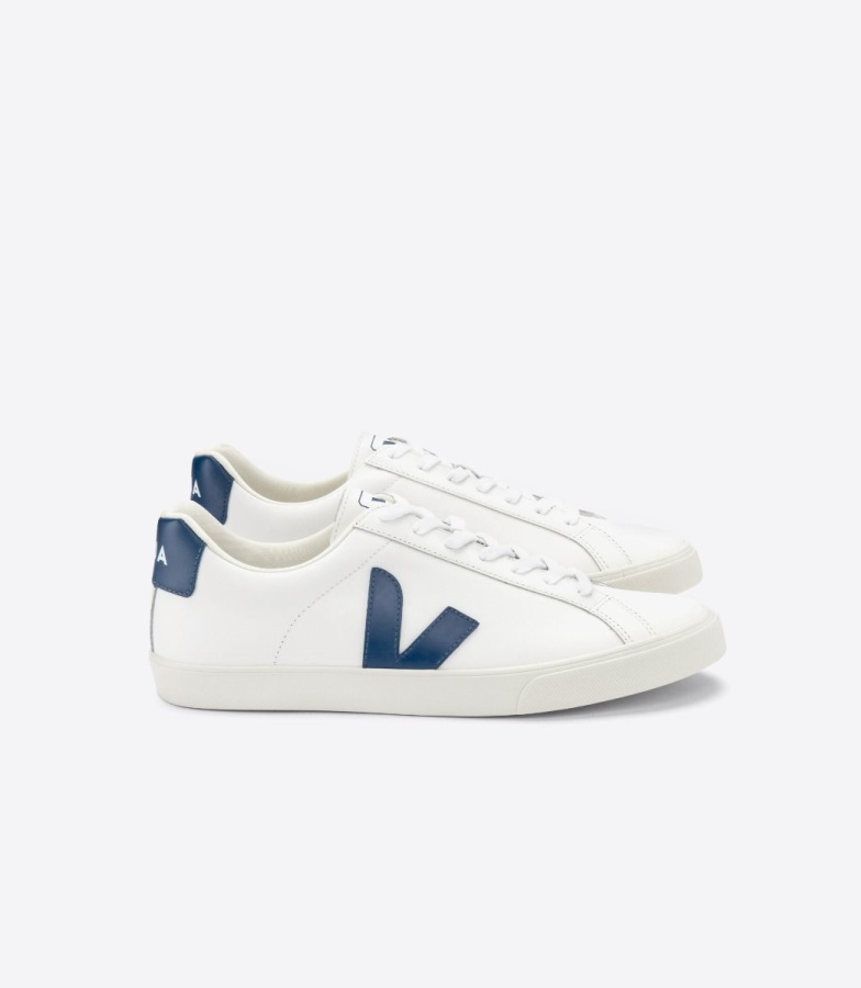 Leather White Cobalt Veja Special